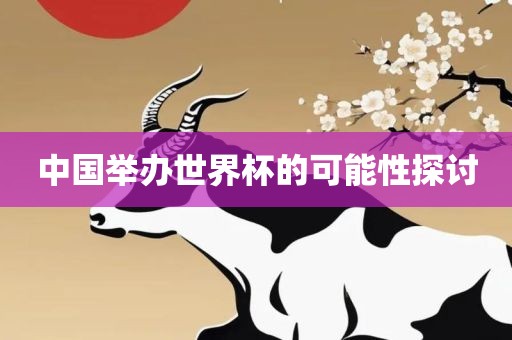 中国举办世界杯的可能性探讨