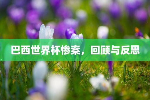 巴西世界杯惨案，回顾与反思