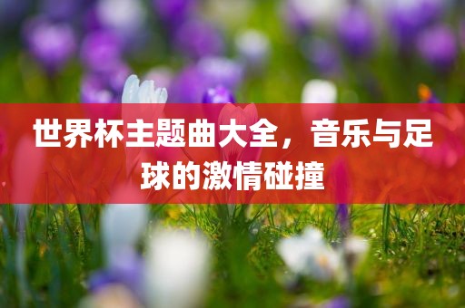 世界杯主题曲大全，音乐与足球的激情碰撞