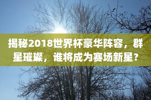 揭秘2018世界杯豪华阵容，群星璀璨，谁将成为赛场新星？
