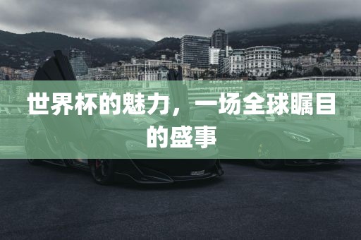 世界杯的魅力，一场全球瞩目的盛事