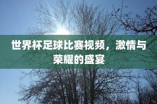 世界杯足球比赛视频，激情与荣耀的盛宴