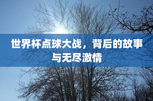 世界杯点球大战，背后的故事与无尽激情