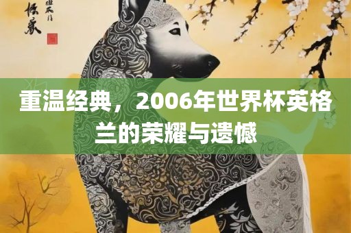 重温经典，2006年世界杯英格兰的荣耀与遗憾