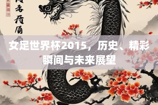 女足世界杯2015，历史、精彩瞬间与未来展望