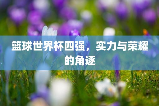 篮球世界杯四强，实力与荣耀的角逐