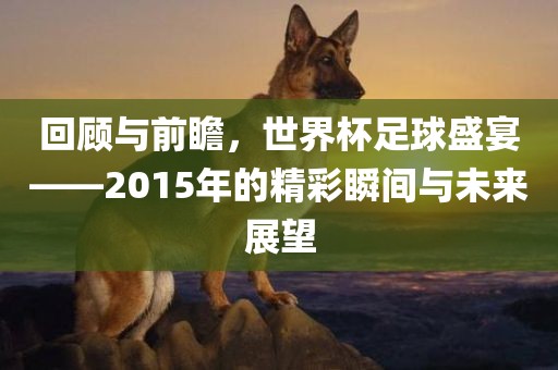 回顾与前瞻，世界杯足球盛宴——2015年的精彩瞬间与未来展望广州鸿业环保设备有限公司