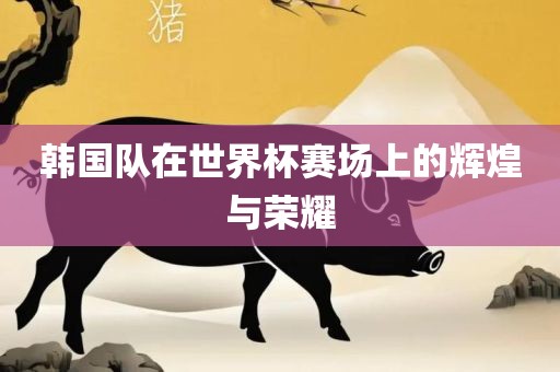 韩国队在世界杯赛场上的辉煌与荣耀