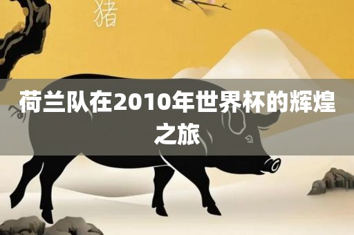 荷兰队在2010年世界杯的辉煌之旅