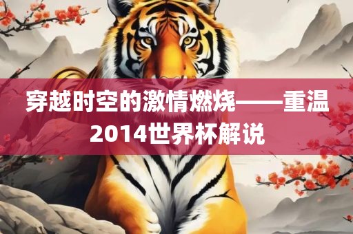 穿越时空的激情燃烧——重温2014世界杯解说