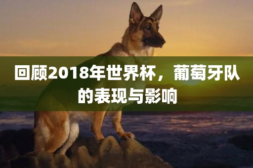回顾2018年世界杯，葡萄牙队的表现与影响