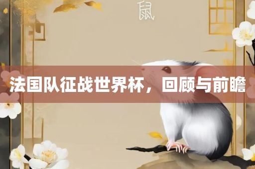 法国队征战世界杯，回顾与前瞻