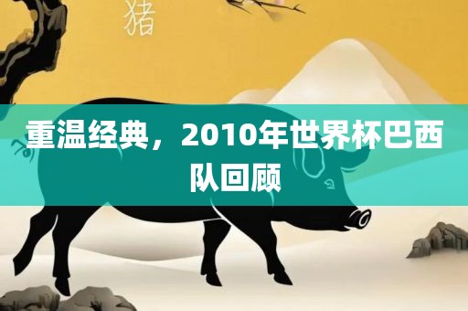 重温经典，2010年世界杯巴西队回顾