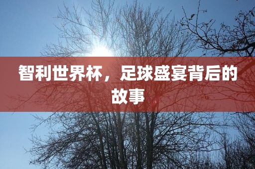 智利世界杯，足球盛宴背后的故事