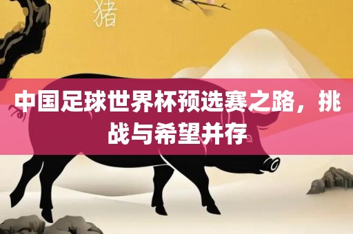 中国足球世界杯预选赛之路，挑战与希望并存