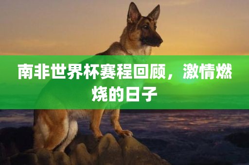 南非世界杯赛程回顾，激情燃烧的日子