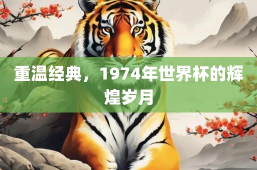 重温经典，1974年世界杯的辉煌岁月
