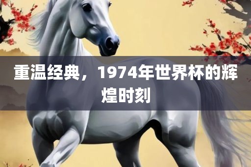 重温经典，1974年世界杯的辉煌时刻