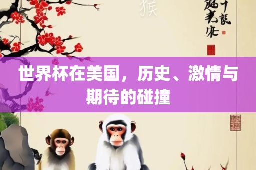 世界杯在美国，历史、激情与期待的碰撞