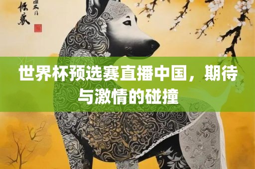 世界杯预选赛直播中国，期待与激情的碰撞