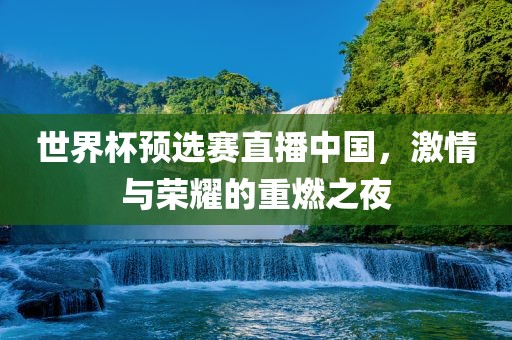 世界杯预选赛直播中国，激情与荣耀的重燃之夜