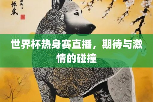 世界杯热身赛直播，期待与激情的碰撞
