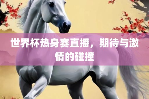 世界杯热身赛直播，期待与激情的碰撞