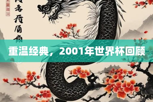 重温经典，2001年世界杯回顾广州鸿业环保设备有限公司