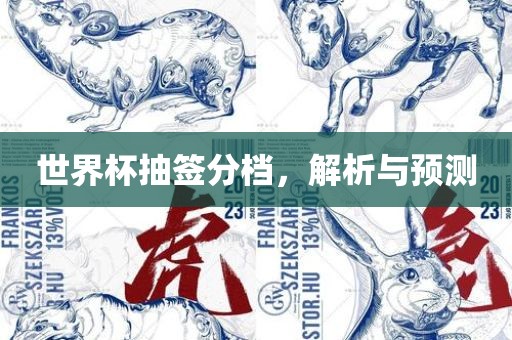 世界杯抽签分档，解析与预测