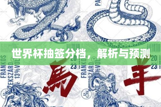 世界杯抽签分档，解析与预测