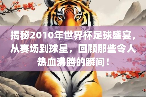 揭秘2010年世界杯足球盛宴，从赛场到球星，回顾那些令人热血沸腾的瞬间！