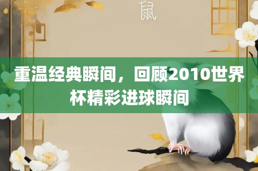 重温经典瞬间，回顾2010世界杯精彩进球瞬间