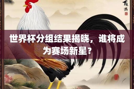 世界杯分组结果揭晓，谁将成为赛场新星？