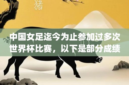 中国女足迄今为止参加过多次世界杯比赛，以下是部分成绩