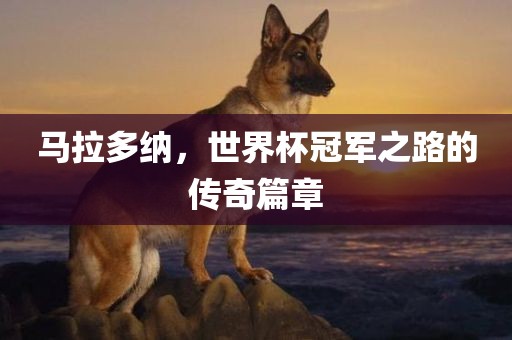 马拉多纳，世界杯冠军之路的传奇篇章