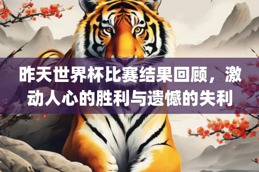 昨天世界杯比赛结果回顾，激动人心的胜利与遗憾的失利