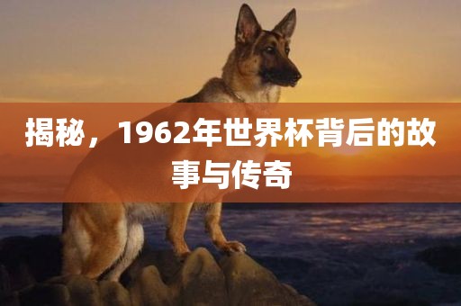 揭秘，1962年世界杯背后的故事与传奇