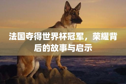 法国夺得世界杯冠军，荣耀背后的故事与启示