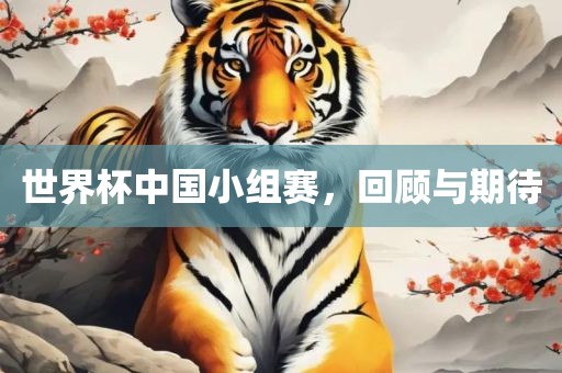 世界杯中国小组赛，回顾与期待
