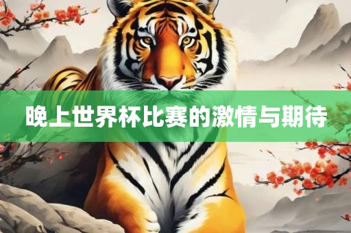 晚上世界杯比赛的激情与期待