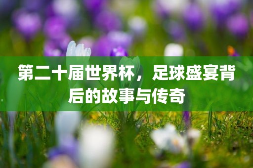 足球盛宴传奇故事