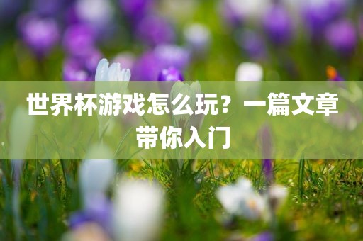 世界杯游戏怎么玩？一篇文章带你入门