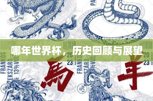 哪年世界杯，历史回顾与展望