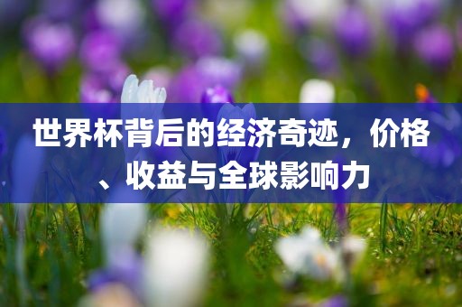 世界杯背后的经济奇迹，价格、收益与全球影响力