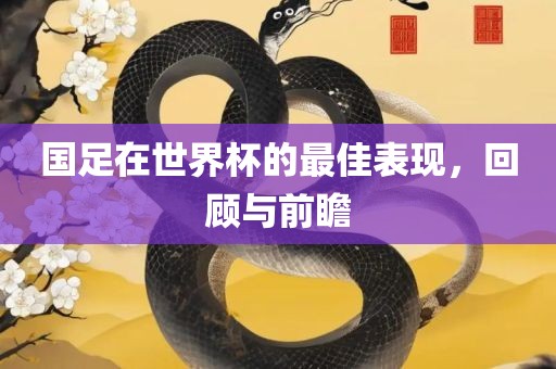 国足在世界杯的最佳表现，回顾与前瞻