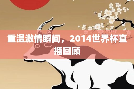 重温激情瞬间，2014世界杯直播回顾
