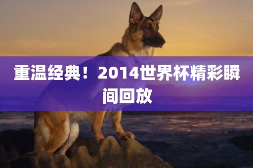 重温经典！2014世界杯精彩瞬间回放