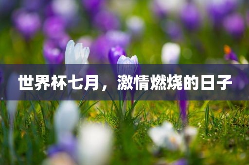 世界杯七月，激情燃烧的日子