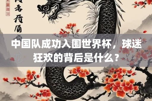 中国队成功入围世界杯，球迷狂欢的背后是什么？