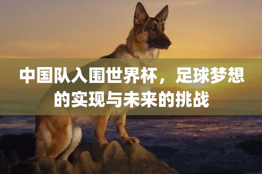 中国队入围世界杯，足球梦想的实现与未来的挑战广州鸿业环保设备有限公司